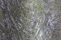 Barston fibreglass roof work